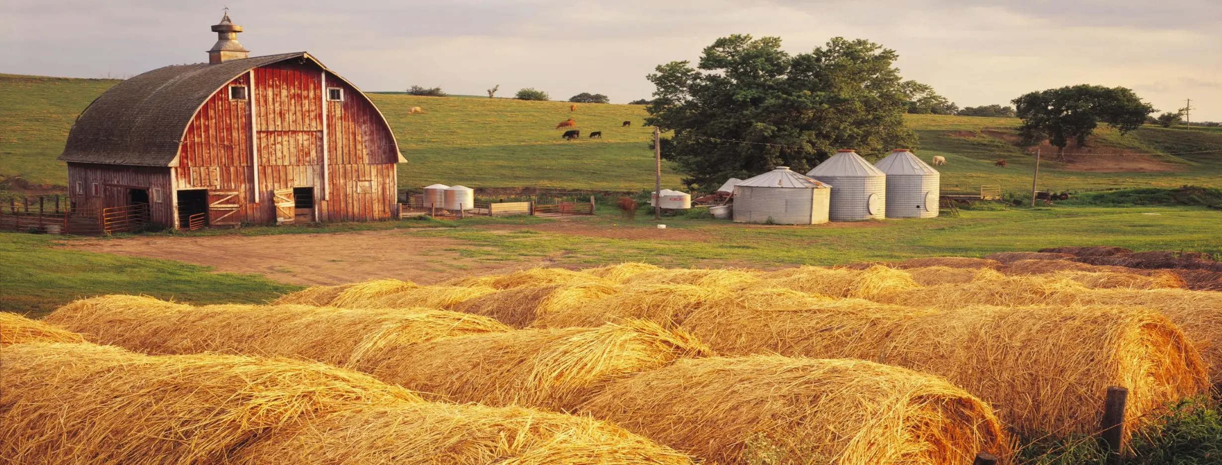 Image for Farm Stay Experience